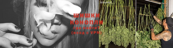 PSILOCYBIN Володарск
