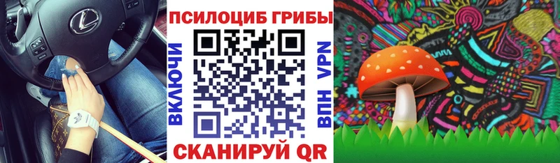 Псилоцибиновые грибы GOLDEN TEACHER  blacksprut сайт  Каменск-Уральский 